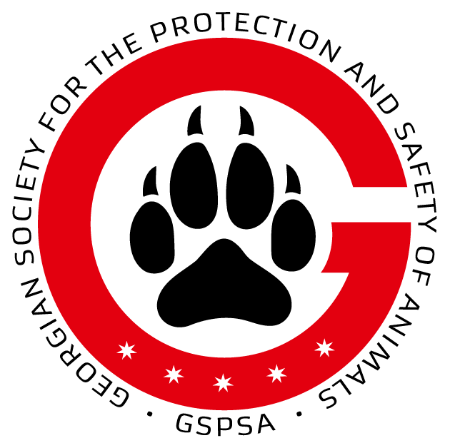 GSPSA-LOGO-A-1290-Transparent – cuted